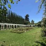 Lacy Park