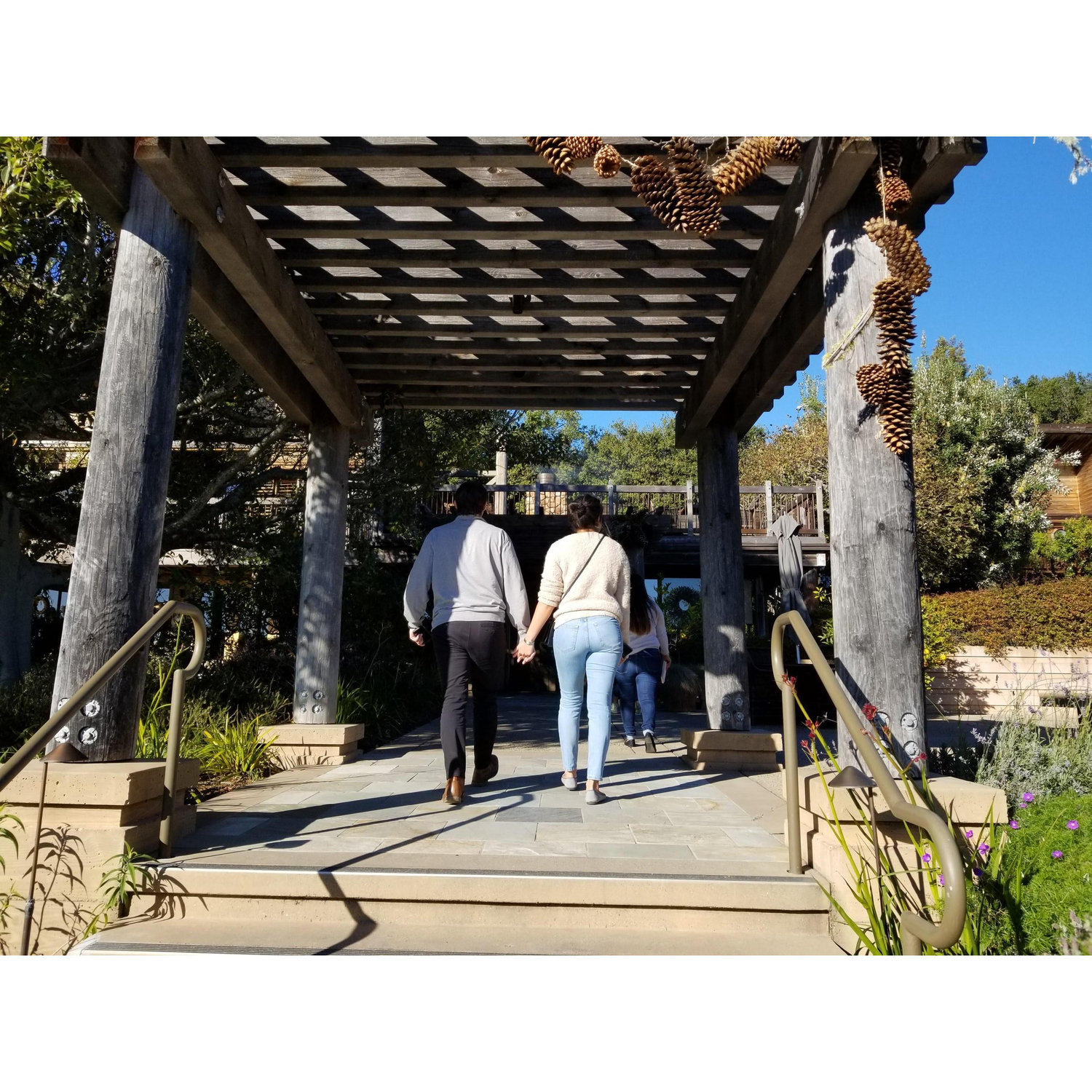 Big Sur, 2018