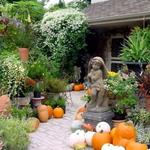 Monches Farm
