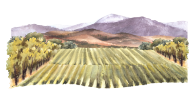 The Wedding Website of Madeleine Sebastien and Garrett Miller