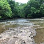 Cherokee Park