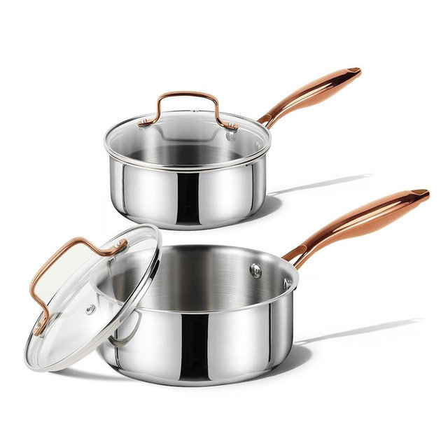 CAROTE 1.6Qt & 3.0Qt Stainless Steel Saucepan Set, Non-Toxic 3-Ply Stainless Steel Cookware Set with Lids, Small Kitchen Pots, Oven Safe, Compatible with Induction, Ceramic, Gas