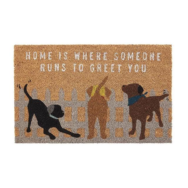 Mud Pie Door Mat, Dog Greetings , 18" x 29"