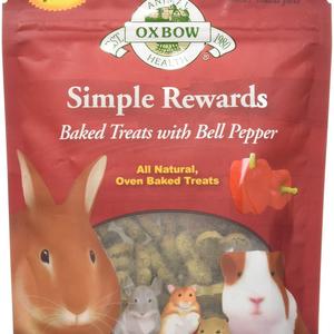 Guinea Pig Treats for Dumpster Pig
