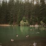 Sly Park (Jenkinson) Lake
