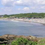 Colony Beach