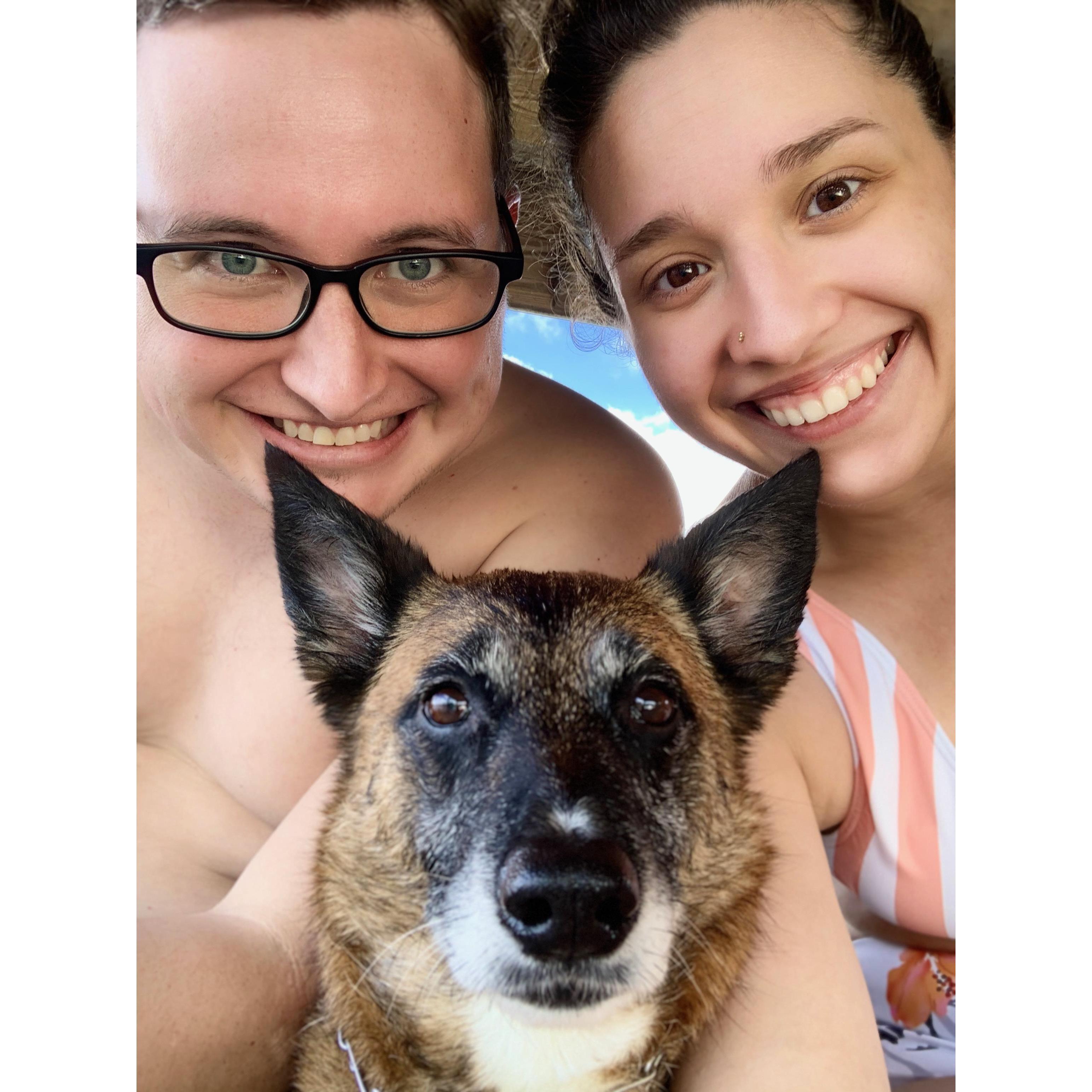 Pool time with the pups!