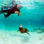 Day Trips & Island Excursions
