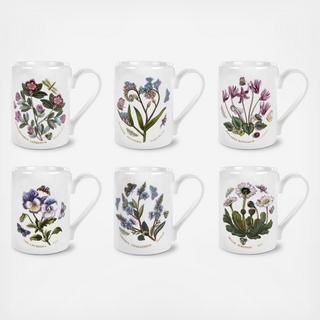 Botanic Garden Assorted Mug, Set Of 6