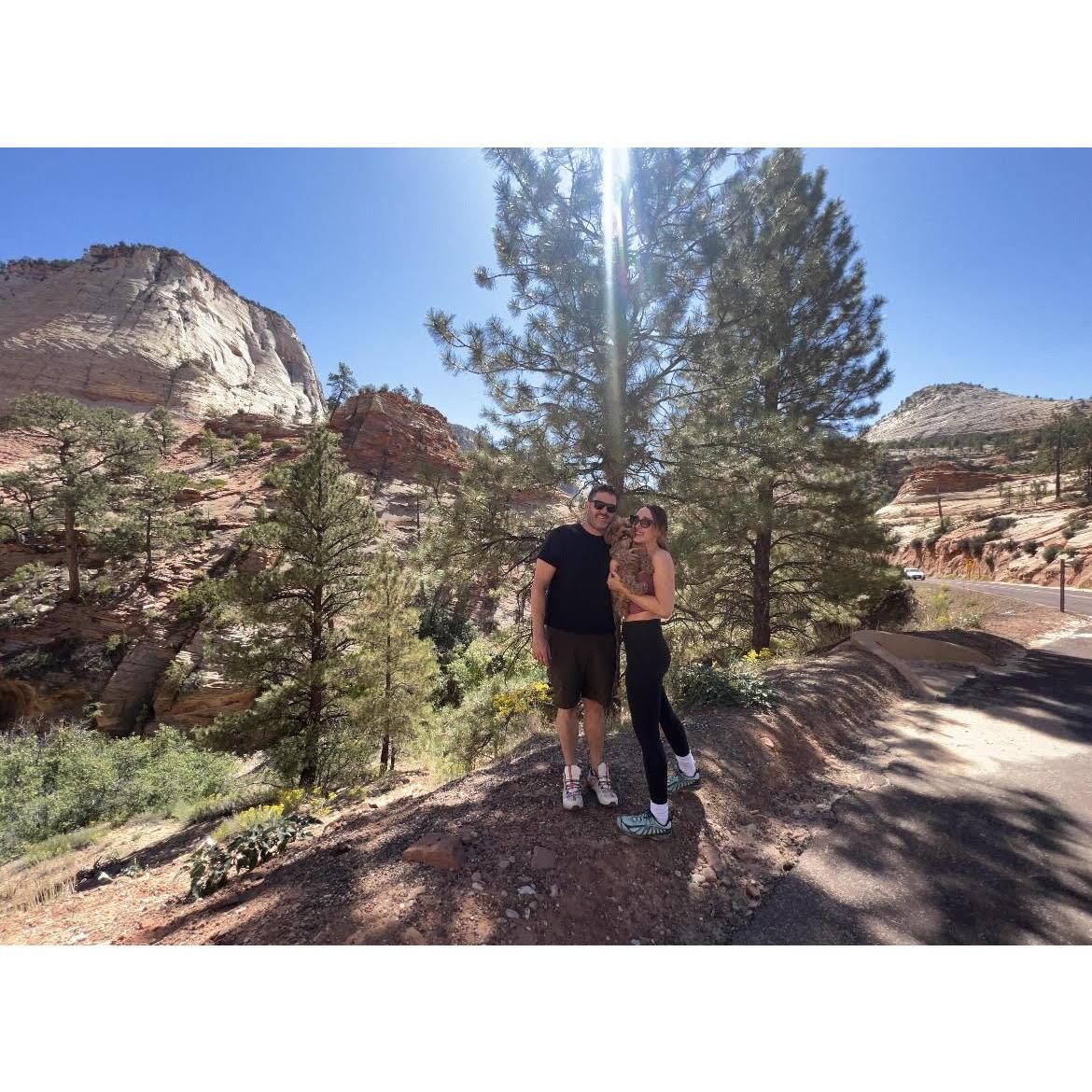 Zion national park