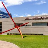 Dallas Museum of Art