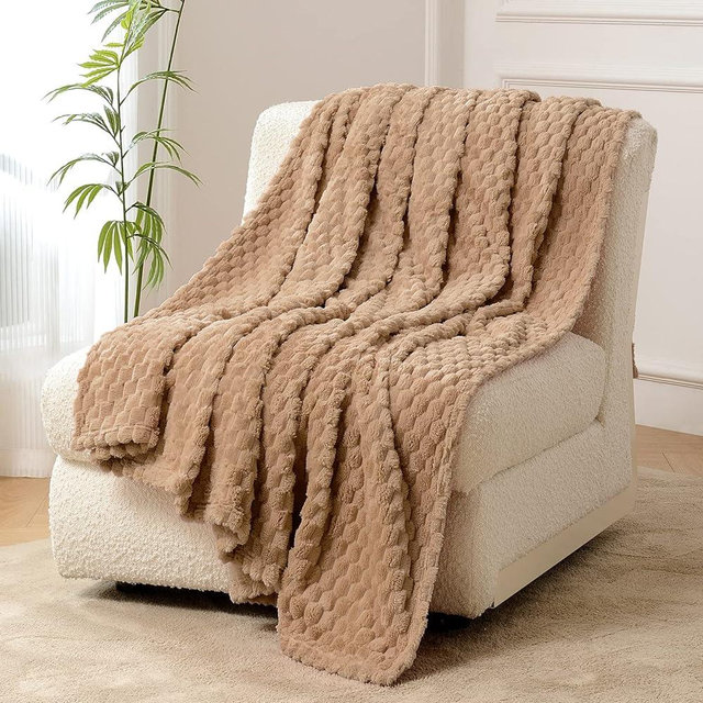 FY FIBER HOUSE Fleece Throw Blanket for Couch 300GSM Super Soft Plush Fuzzy Blankets Lap Blanket for Office Sofa, 50x60 Inches, Camel