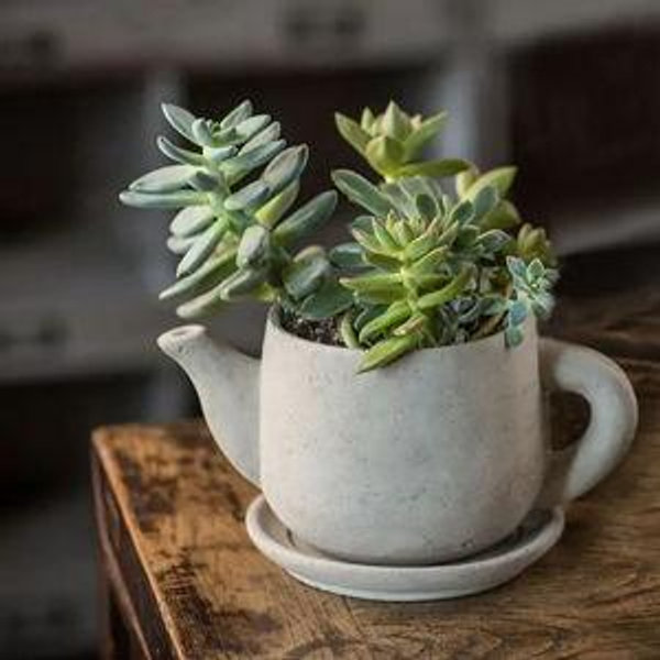 Teapot Planters (Set of 2)