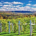 Petoskey Wine Region