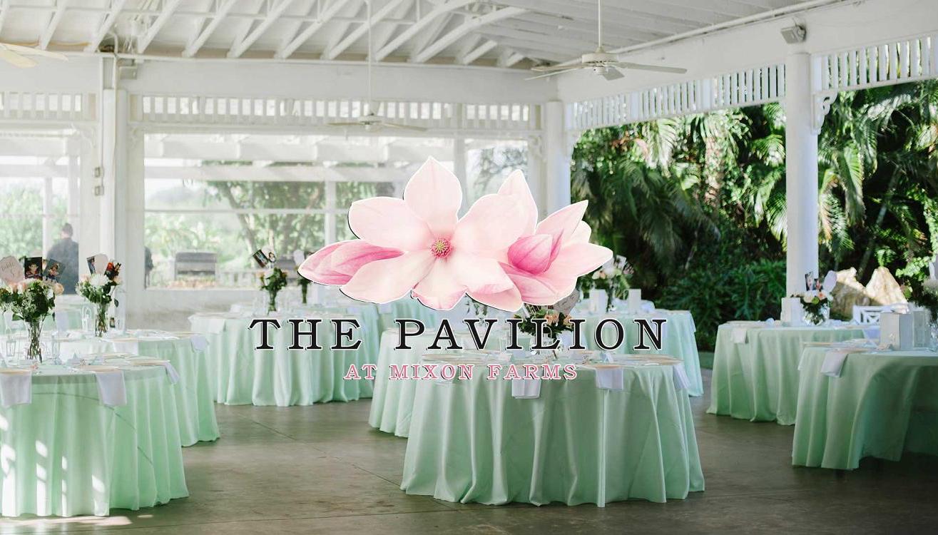 The Wedding Website of Mercedes McBrown and Mitch Reilly