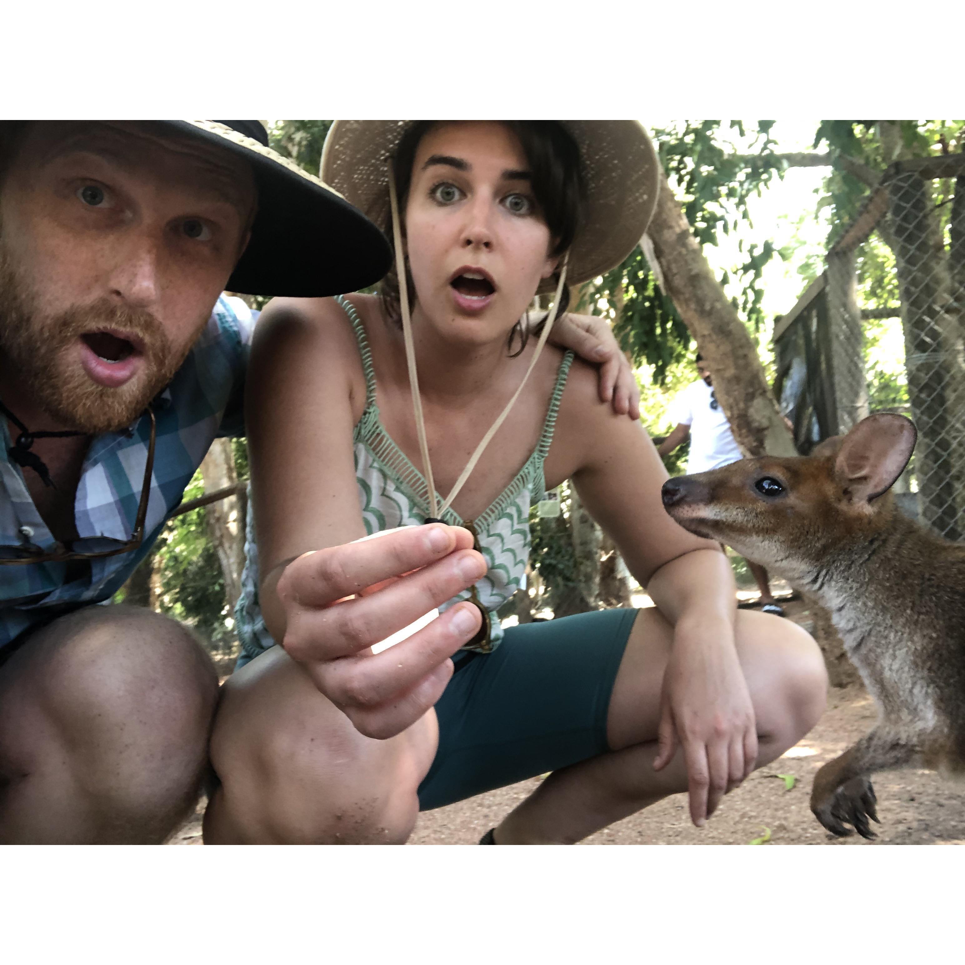 Australia is wild.
