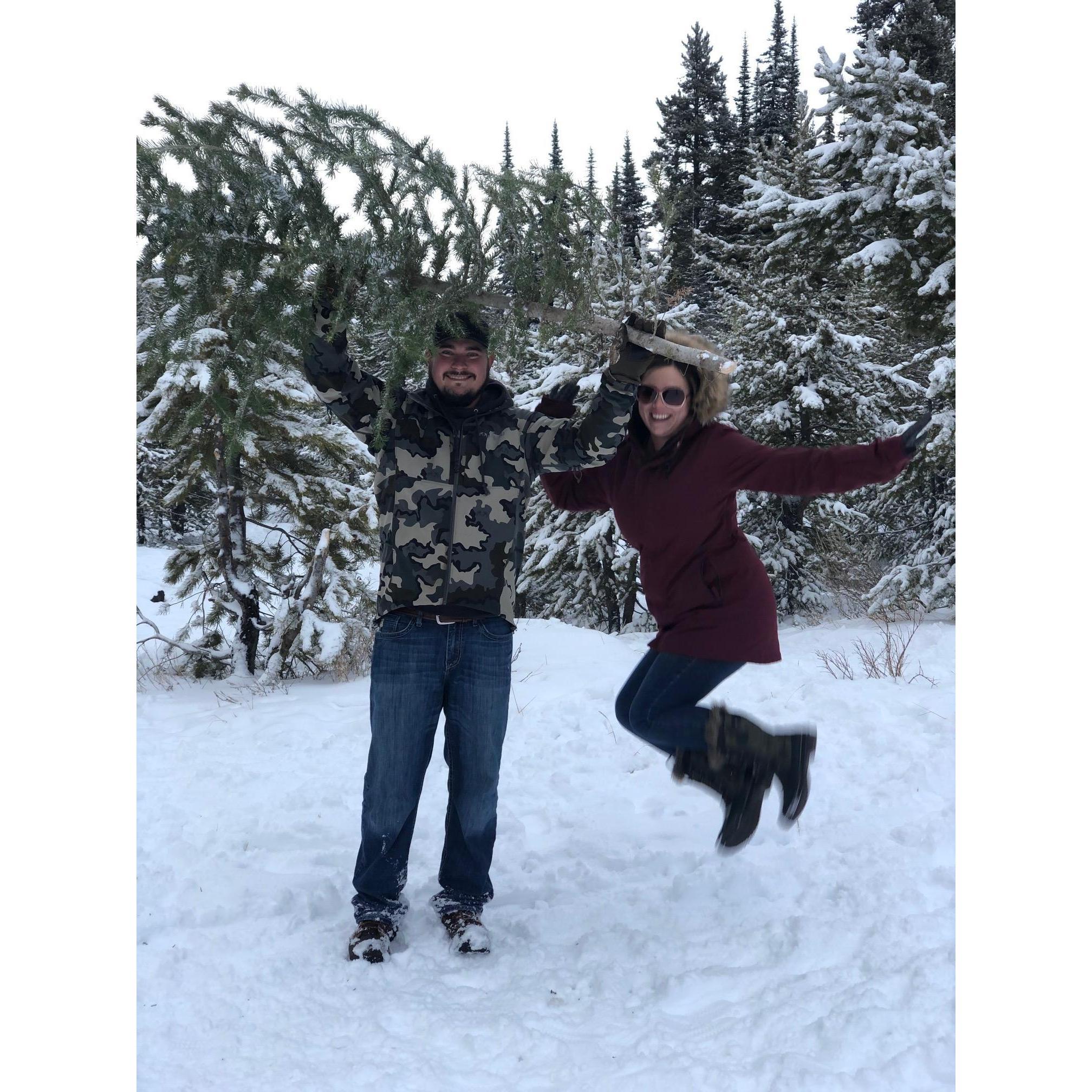 Our second year finding our christmas tree!