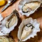 Rocker Oysterfeller's