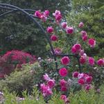 Cleveland Botanical Garden