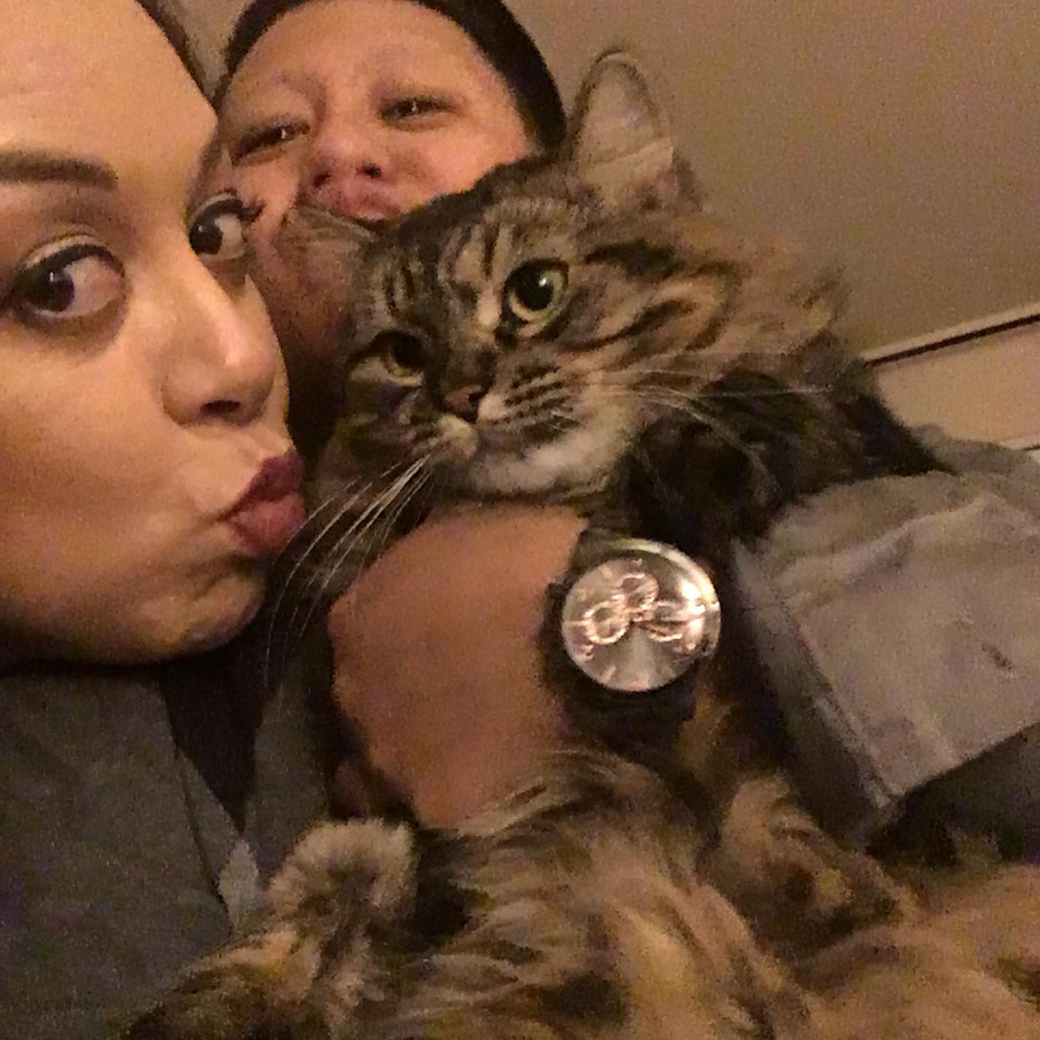 Kitty!