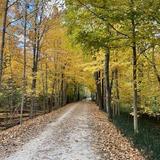 Paint Creek Trail