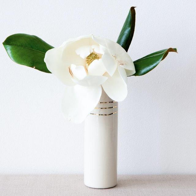 Honeycomb Studio, Cylinder Vase w/ Gold Bands