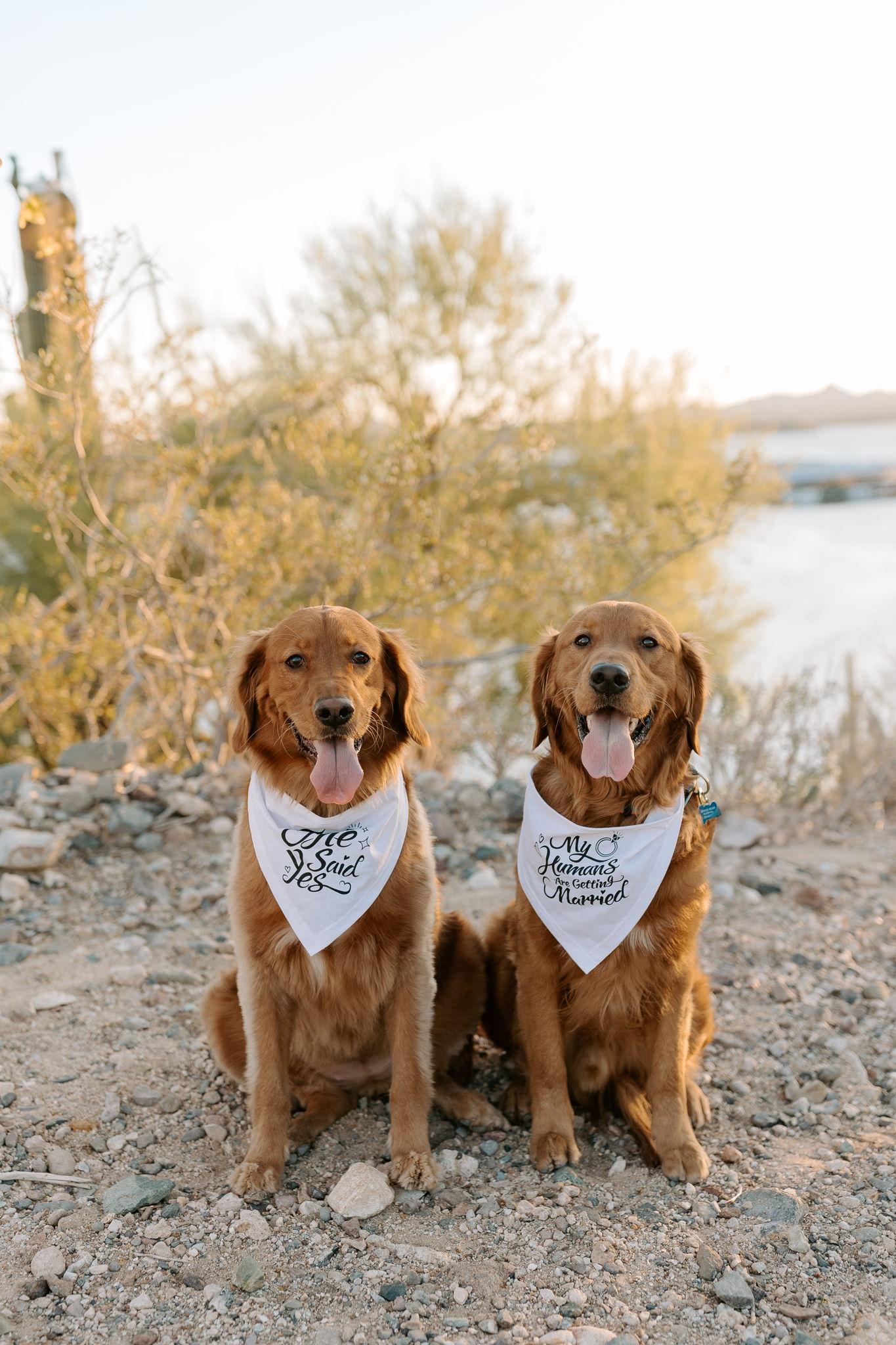 The Wedding Website of Bradley Hecker and Rileigh Hill