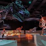 Houston Museum of Natural Science