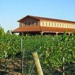 Zin Valle Vineyards