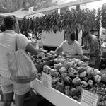 Dane County Farmers' Market