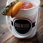 Dogwood Social House