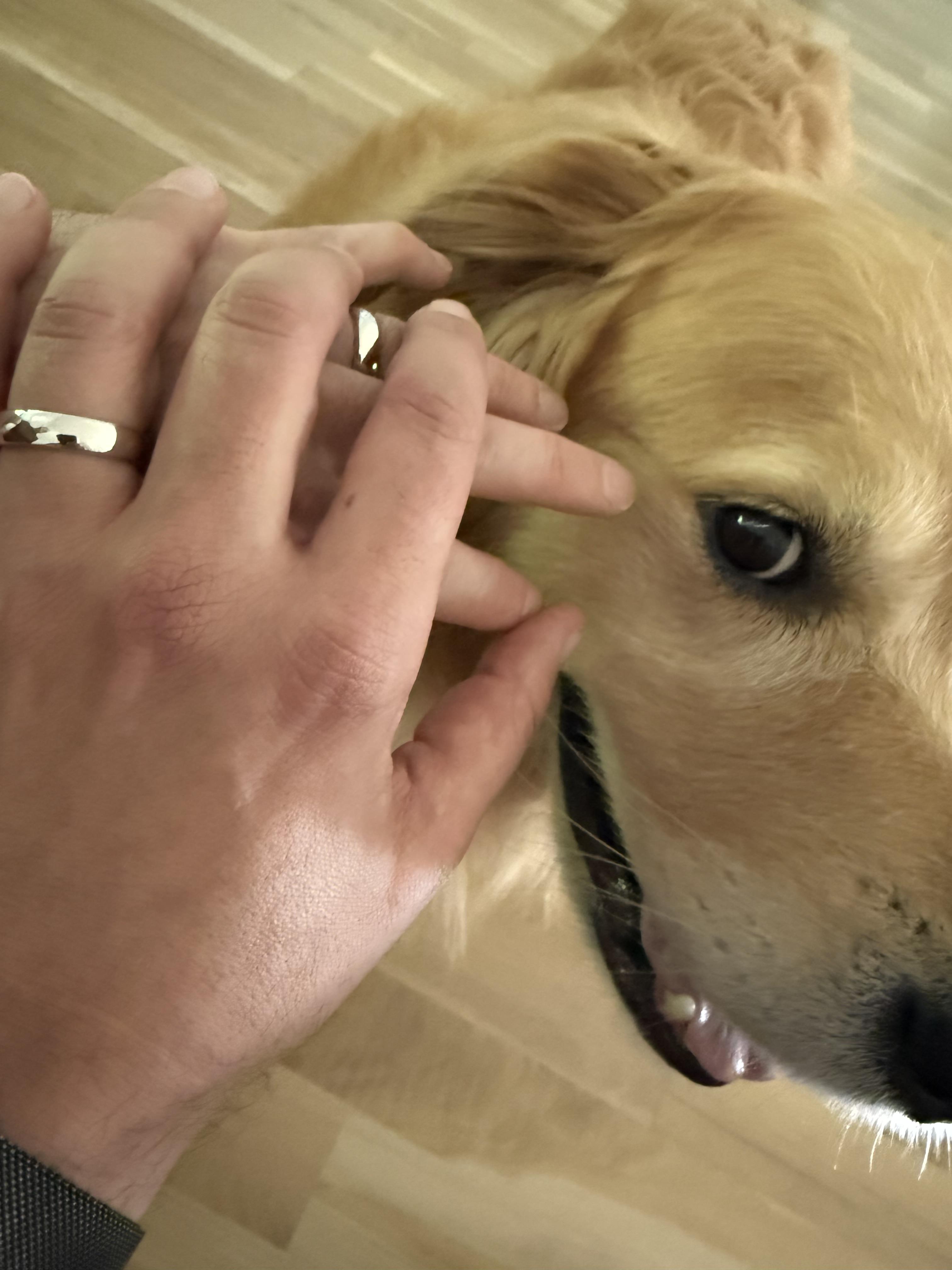 The Wedding Website of Stephen Janiak and Ryan Lieberman