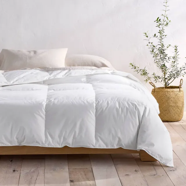 Full/Queen Premium Goose Down Duvet Insert - Casaluna™
