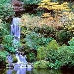 Portland Japanese Garden