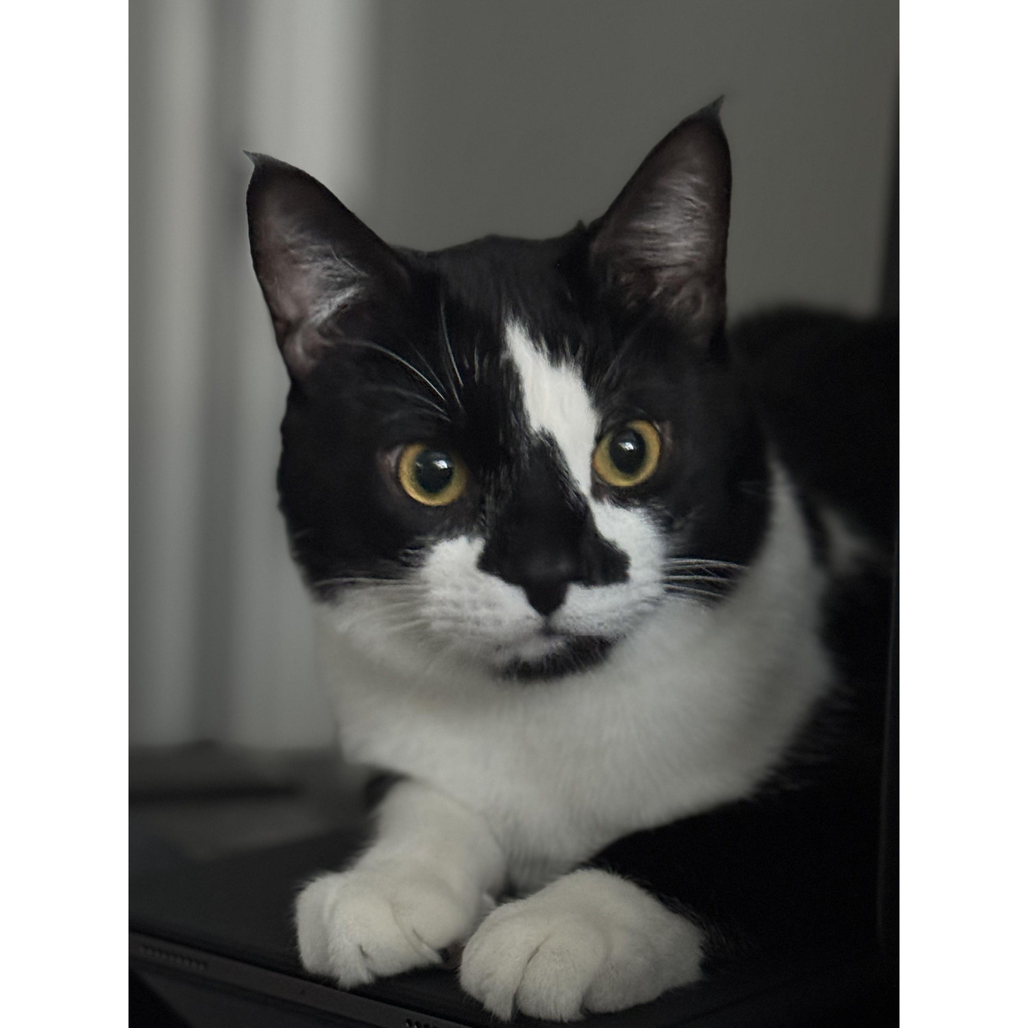 Our second baby boy who we adopted!!