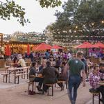 Napa Yard - Oxbow Gardens