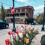 Main Street, Warwick, NY