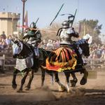 Minnesota Renaissance Festival
