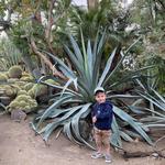 Moorten Botanical Garden