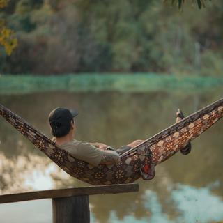 Trunk Tech Double Printed Hammock