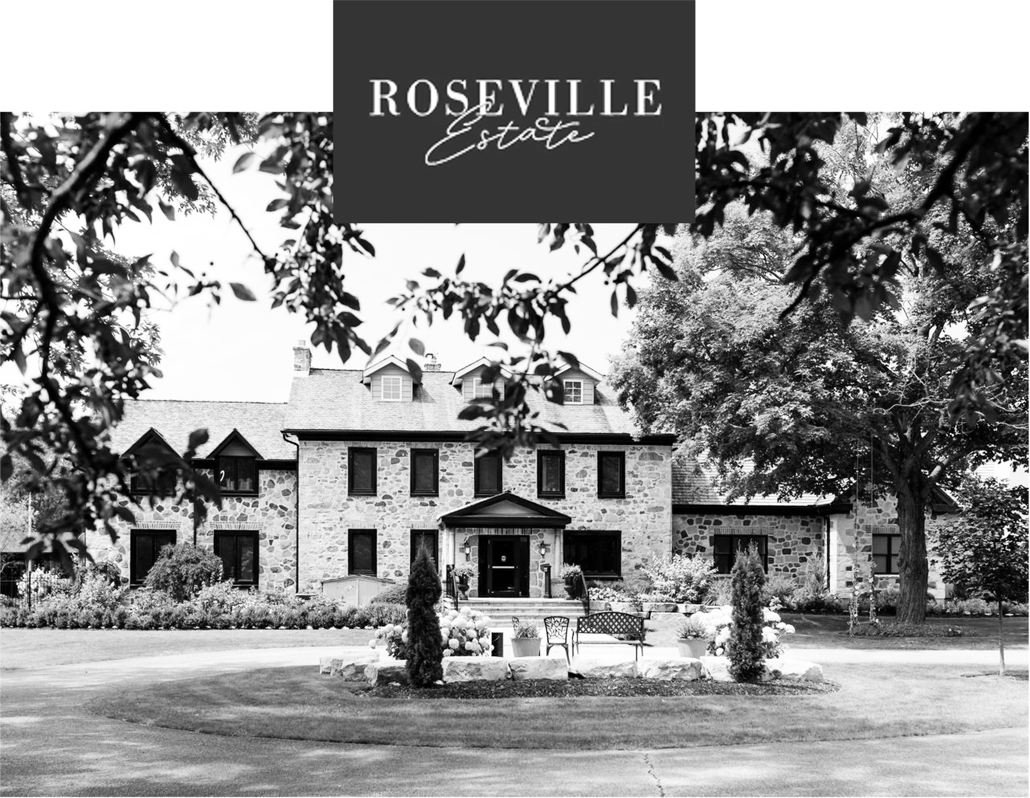 The Wedding Website of Danielle Casavecchia and William Blainey