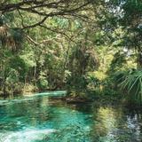 Kelly Park - Rock Springs