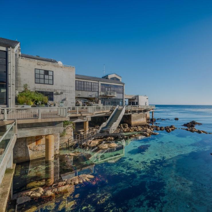 Monterey Bay Aquarium Tickets