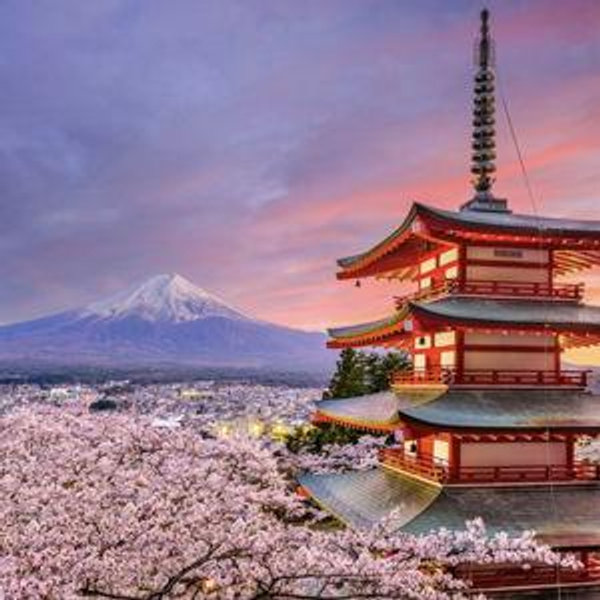Chureito Pagoda & Lake Kawaguchiko Tour