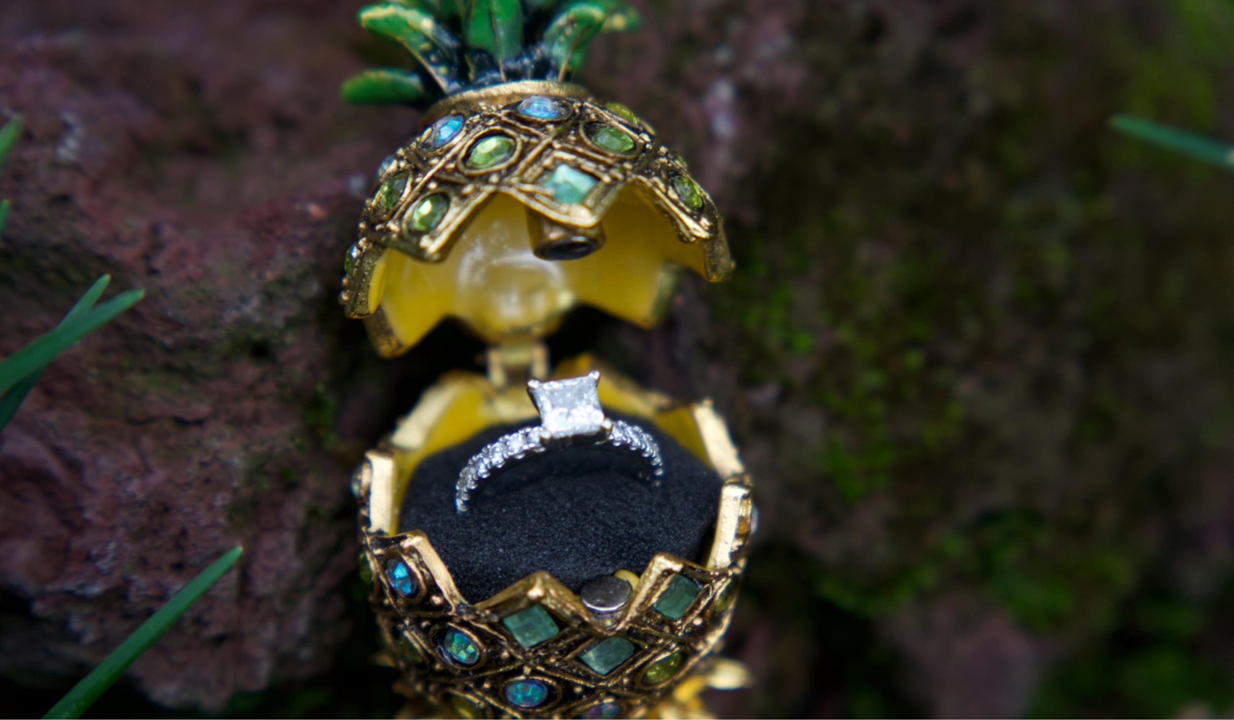 The Wedding Website of Hannah Giovannetti and Cody Perdue