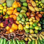 Ono Organic Farms Exotic Fruit Tour