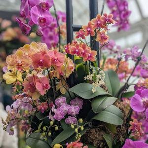 Flower & Photo Venue Setup (pre-party)