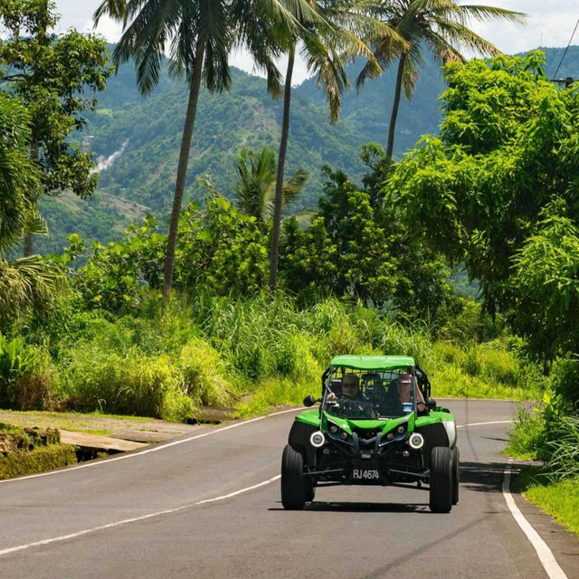 Northern St. Lucia Buggy Adventure