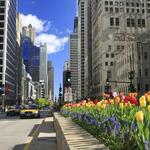 Magnificent Mile