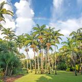 Fairchild Tropical Botanic Garden